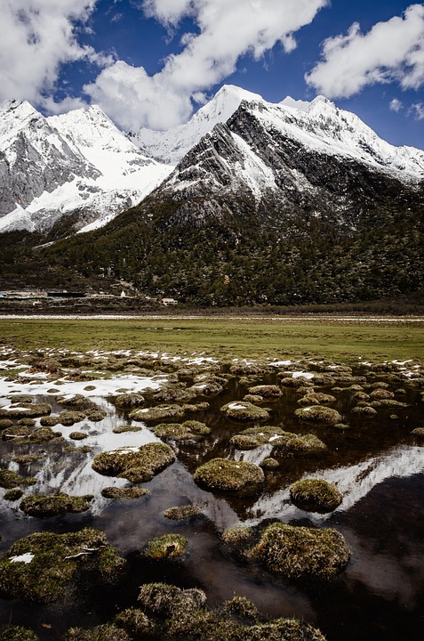 《爱丁堡探秘：历史古城、文化瑰宝与绝美风景的完美之旅》