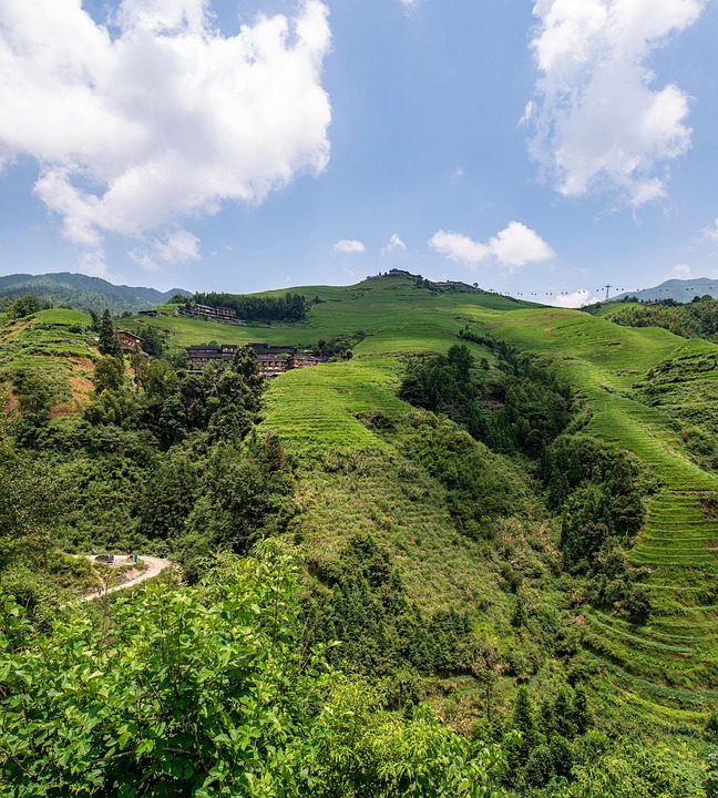 《探索伦敦政治经济学院：英国文化与全球思想的交汇点》
